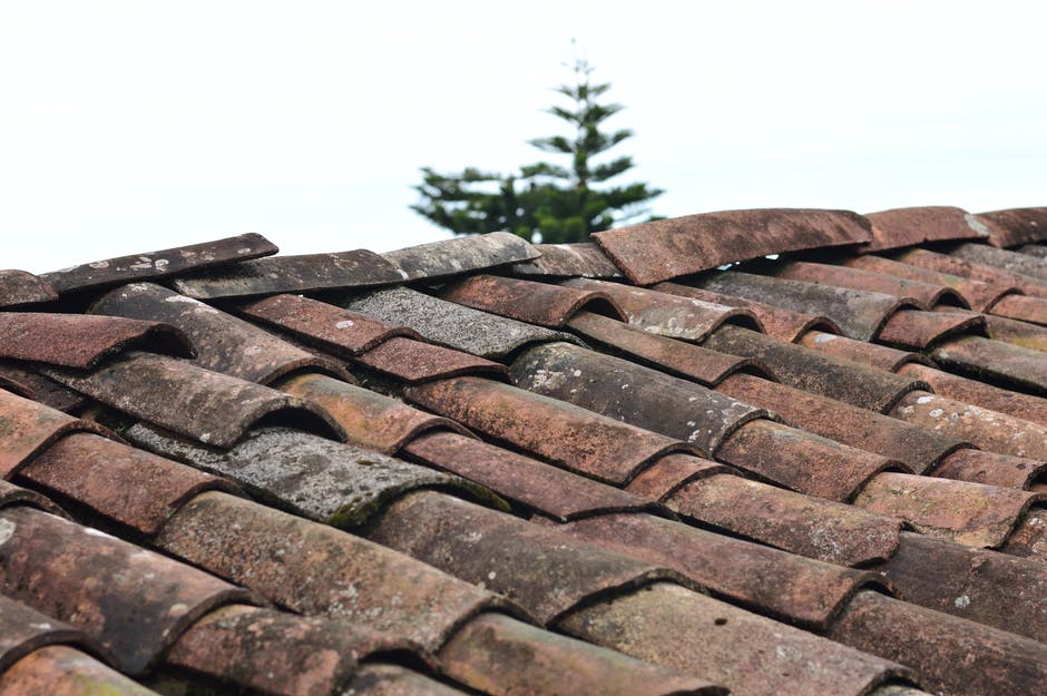 Types of Roof Waterproofing: A Comprehensive Guide to Protecting Your Roof