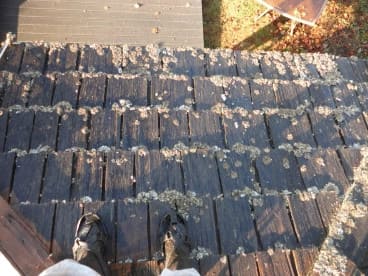 Walk on a Cedar Shake Roof